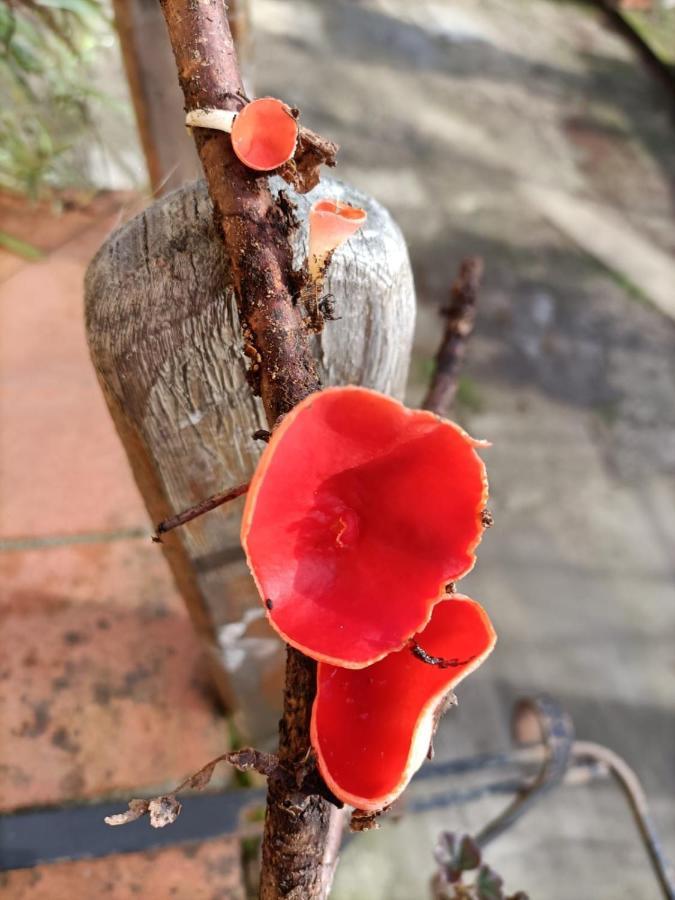 Welcome In Toscana Polcanto 외부 사진