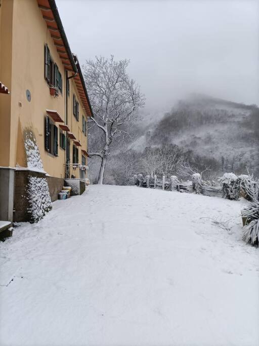 Welcome In Toscana Polcanto 외부 사진